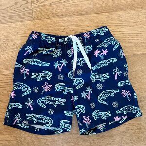 Chubbies Swim Trunk